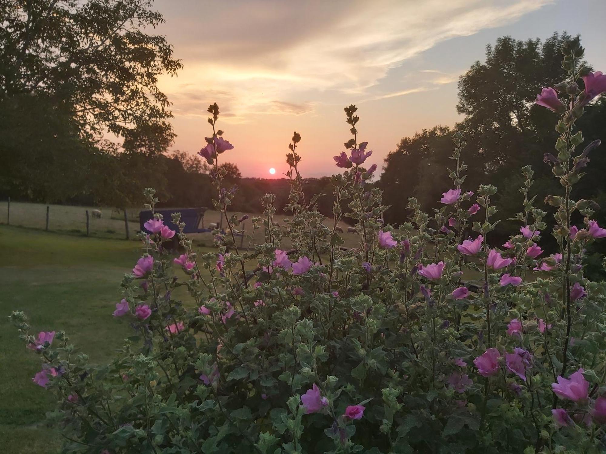 Le Petit Pre Bed and Breakfast Bouesse Eksteriør billede